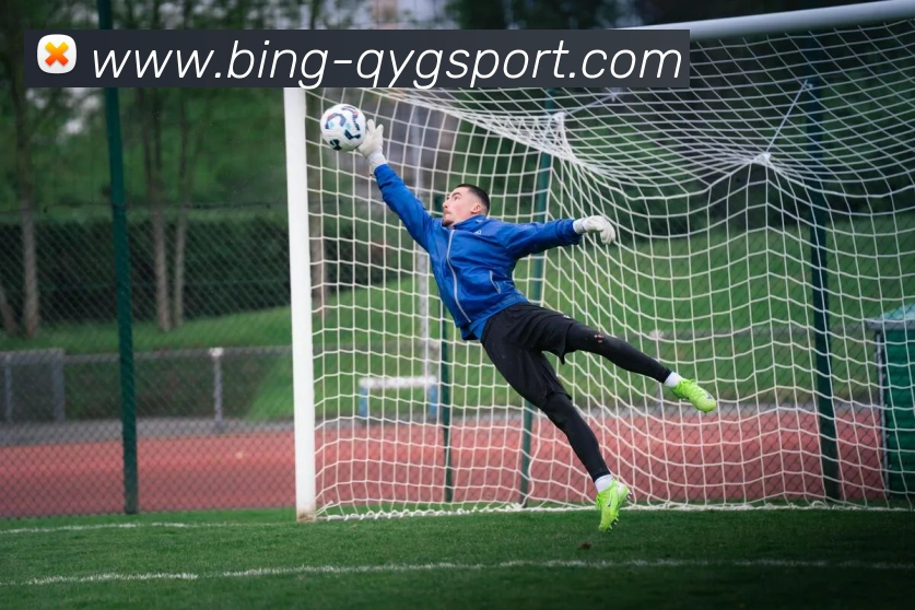 奇异果体育品牌故事